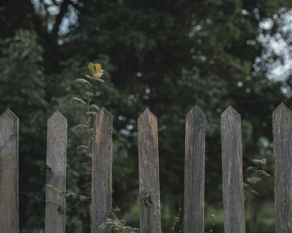 Fences example photograph
